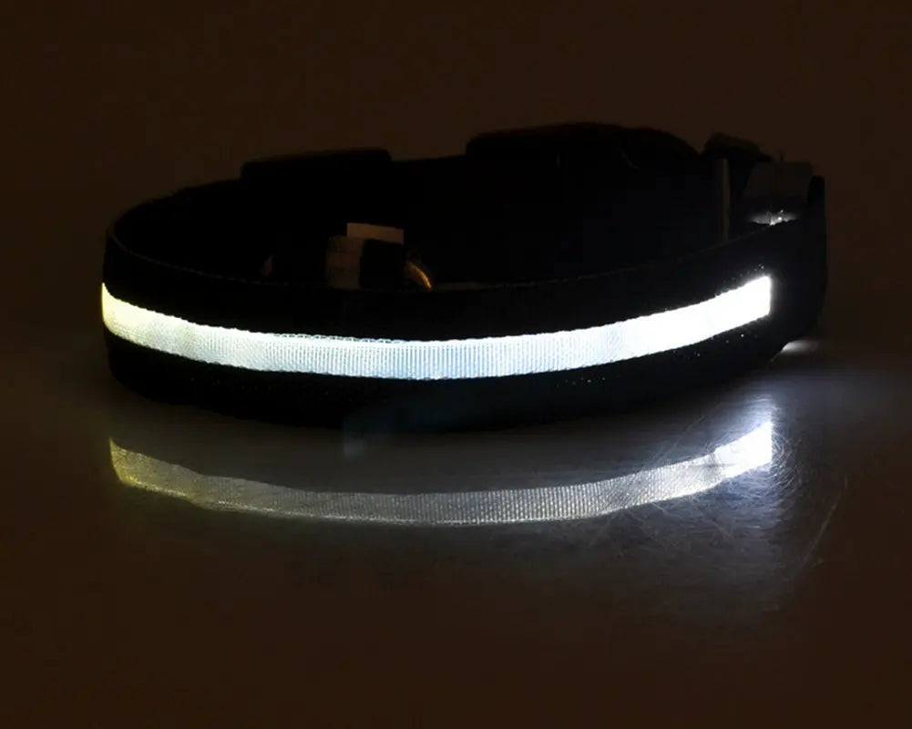 Nylon LED Pet Dog Luminous Collar Night Safety Flashing Glow in Dark Dog Cat Leash Adjustable Pet Supplies
